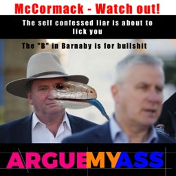 Barnaby Joyce wanst leaders job AGAIN